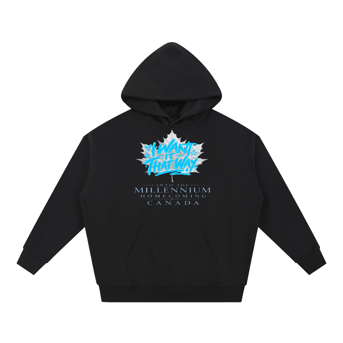 Backstreet Boys Live Homecoming Toronto 2027,BSB, Merch, Fan, Premium Heavyweight Hoodie