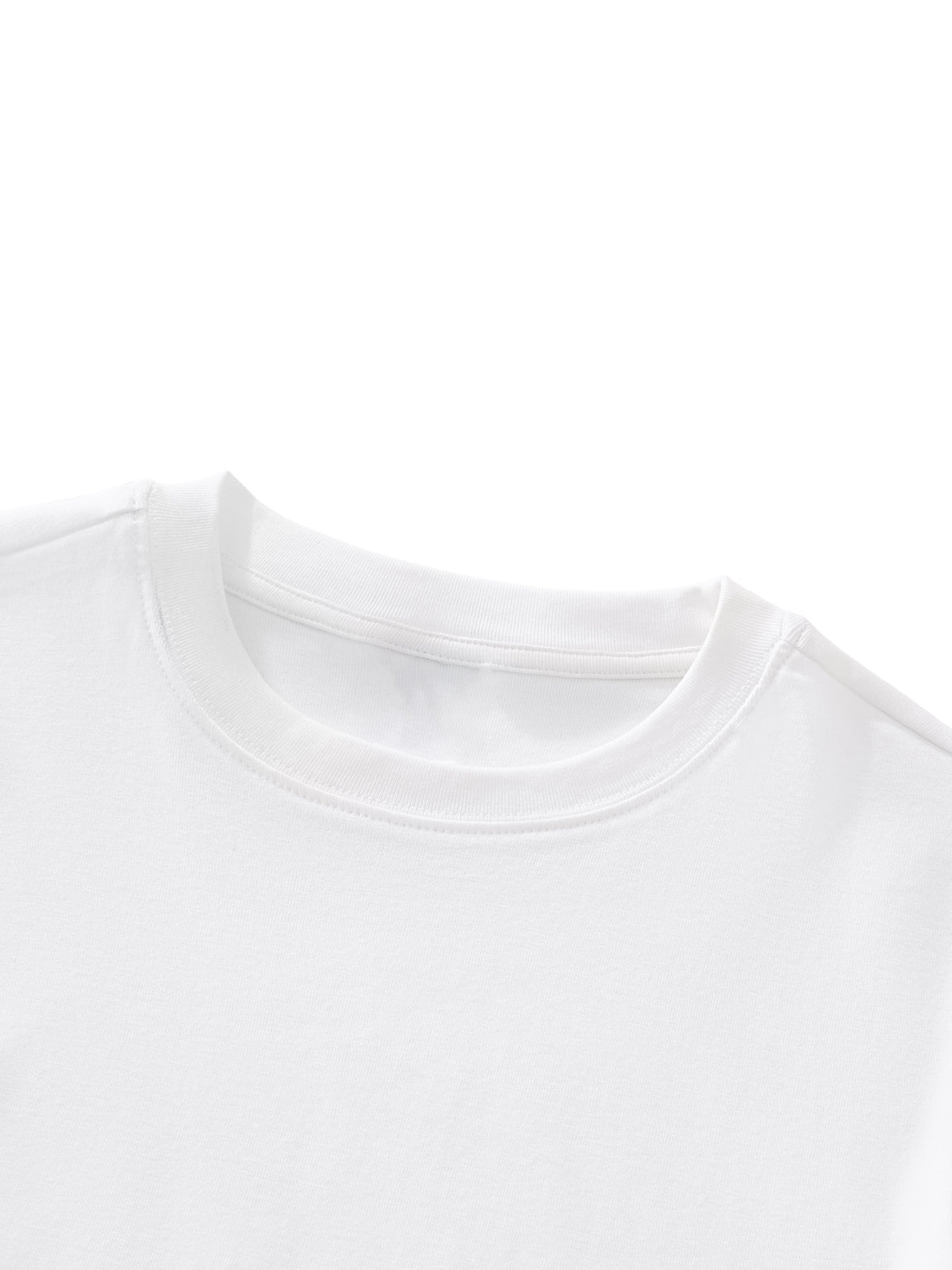 Backstreet Boys Live Homecoming Toronto 2027, BSB, Merch, Premium Essential Crewneck T-Shirt